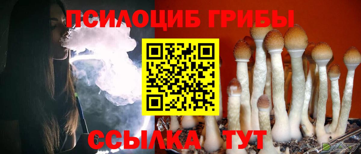 Ишим  Галлюциногенные грибы Cubensis  Галлюциногенные грибы Psilocybine cubensis  Вход с VPN 